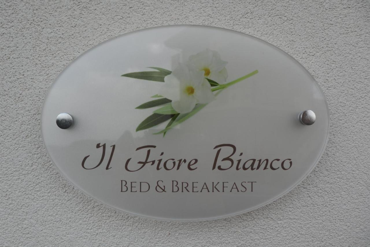 Il Fiore Bianco Bed & Breakfast Capo dʼOrlando Екстериор снимка